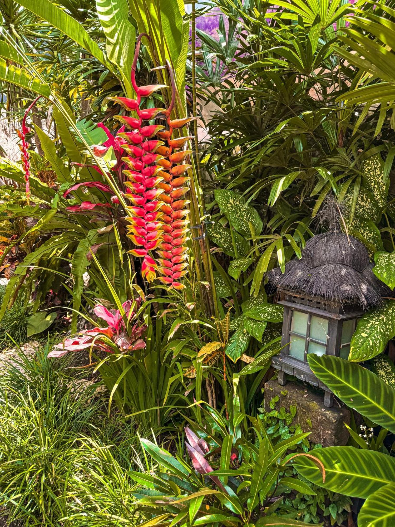 Bali Maison Убуд Екстериор снимка